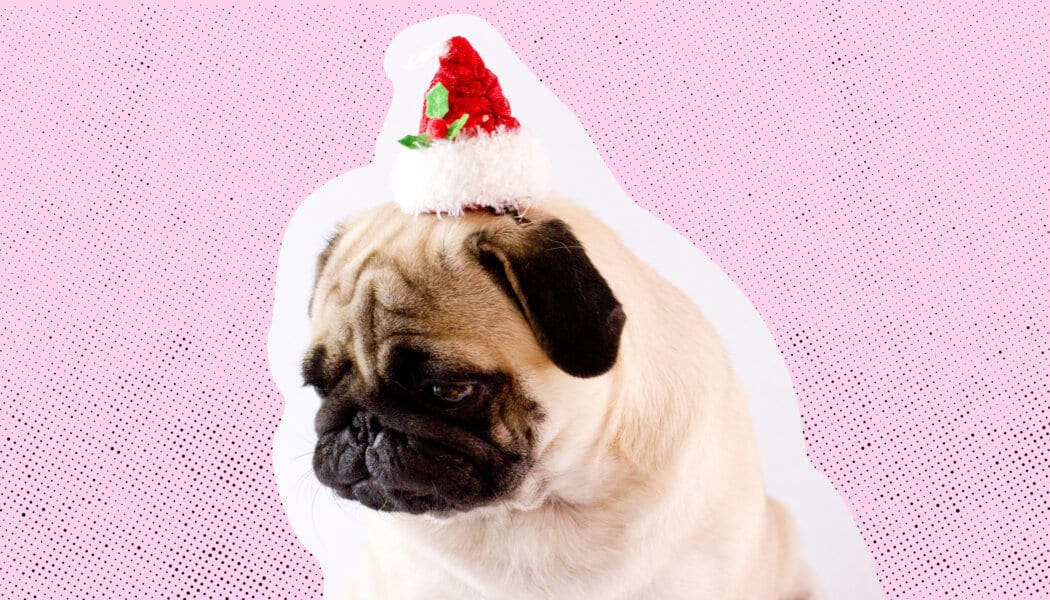 My white queer friends think I should ditch my Southeast Asian parents for the holidays because they don’t accept that I’m queer. Who do I choose?